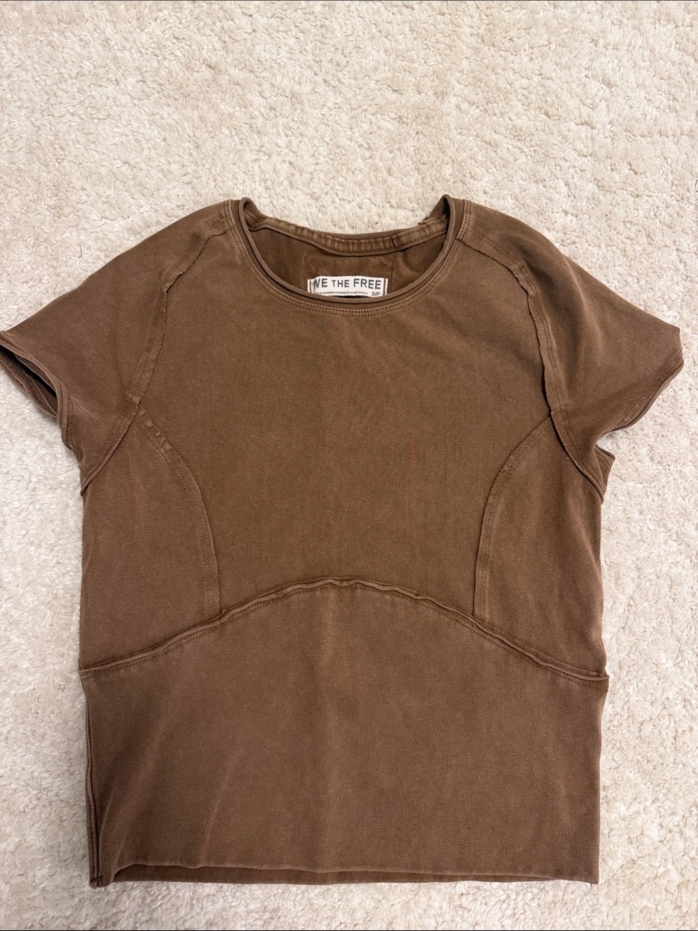 Free People Short Sleeve Top in Brown